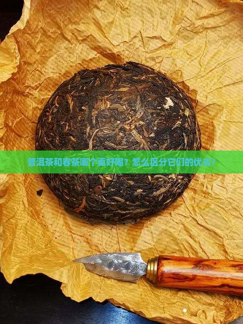 普洱茶和春茶哪个更好喝？怎么区分它们的优劣？