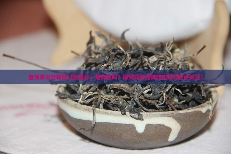 普洱茶中含有他汀类成分，是真的吗？探究其天然降脂功效与热点关注！