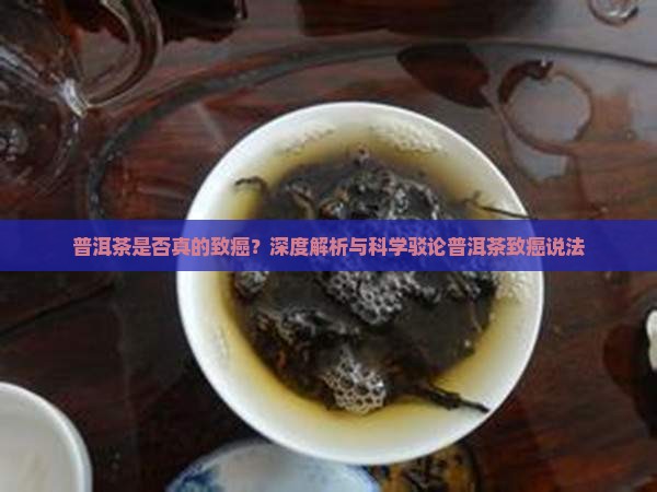 普洱茶是否真的致癌？深度解析与科学驳论普洱茶致癌说法