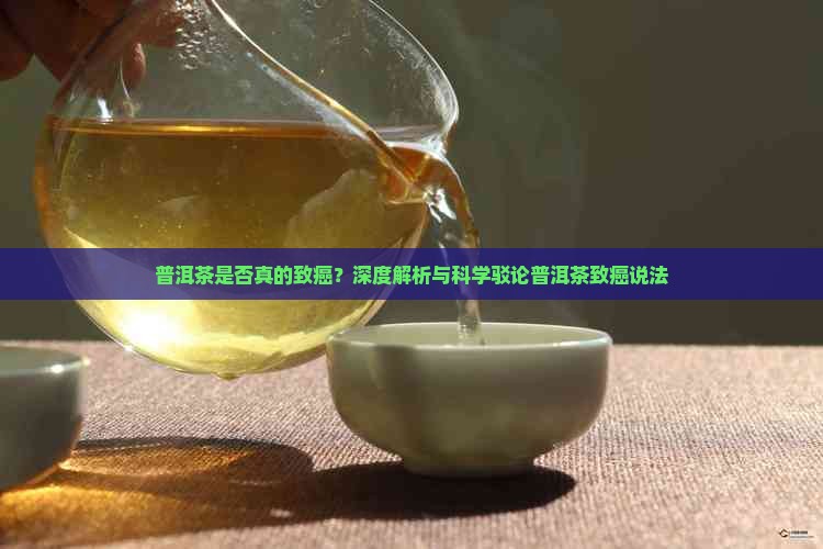 普洱茶是否真的致癌？深度解析与科学驳论普洱茶致癌说法