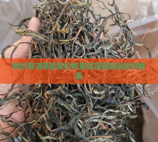 特价普洱茶批发价格查询及最新批发价格表