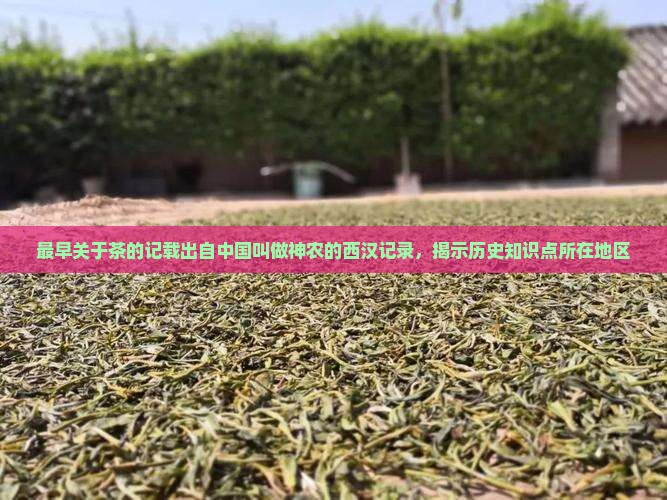 最早关于茶的记载出自中国叫做神农的西汉记录，揭示历史知识点所在地区