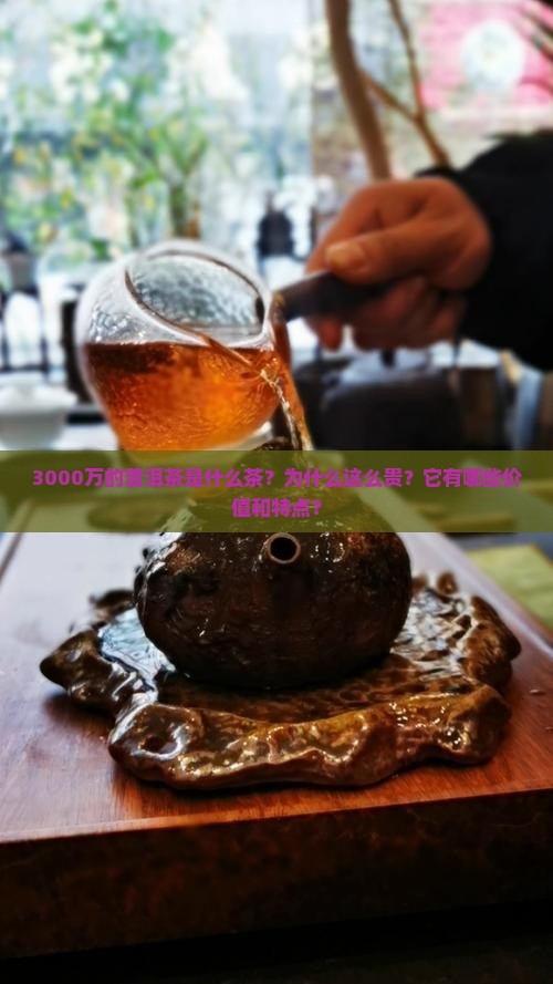 3000万的普洱茶是什么茶？为什么这么贵？它有哪些价值和特点？