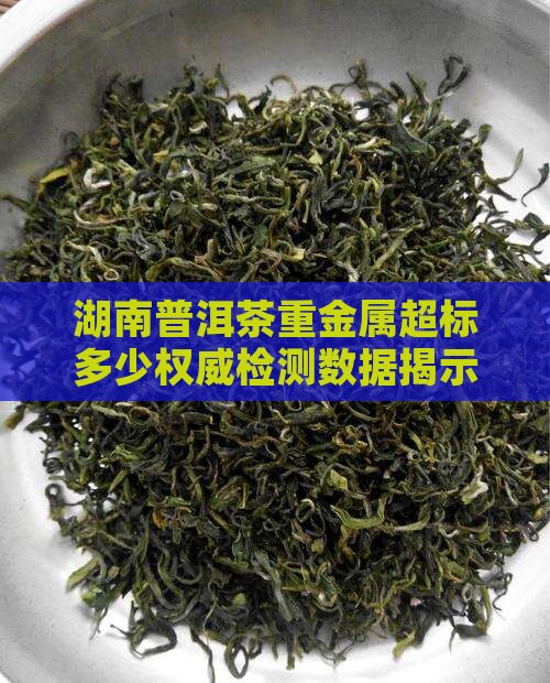 湖南普洱茶重金属超标多少权威检测数据揭示