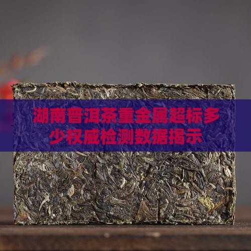 湖南普洱茶重金属超标多少权威检测数据揭示