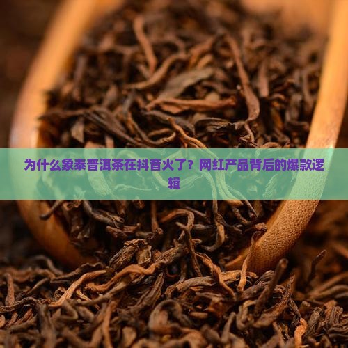 为什么象泰普洱茶在抖音火了？网红产品背后的爆款逻辑