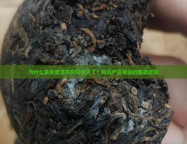 为什么象泰普洱茶在抖音火了？网红产品背后的爆款逻辑
