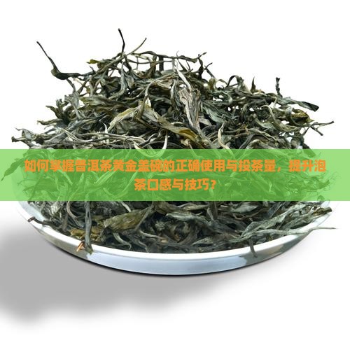 如何掌握普洱茶黄金盖碗的正确使用与投茶量,提升泡茶口感与技巧? 如何掌握普洱茶黄金盖碗的正确使用与投茶量,提升泡茶口感与技巧?