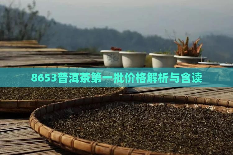 8653普洱茶第一批价格解析与含读