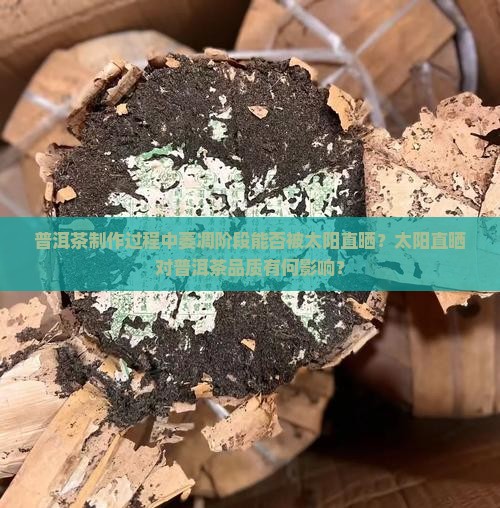 普洱茶制作过程中萎凋阶段能否被太阳直晒？太阳直晒对普洱茶品质有何影响？