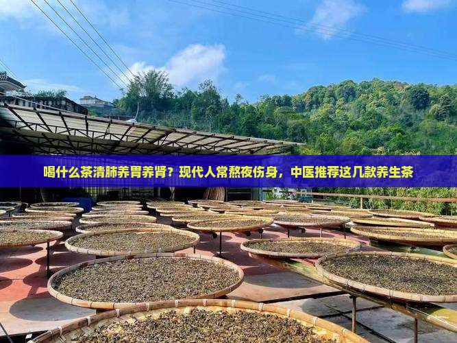 喝什么茶清肺养胃养肾？现代人常熬夜伤身，中医推荐这几款养生茶