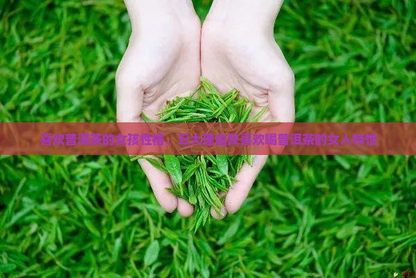 喜欢普洱茶的女孩性格、五大理由及喜欢喝普洱茶的女人特性