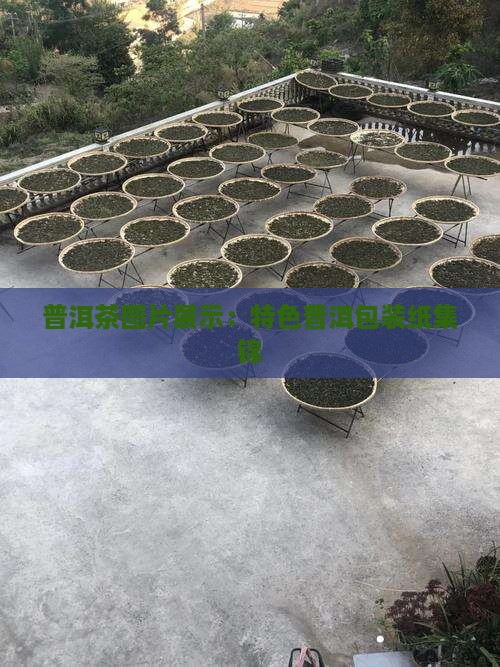 普洱茶图片展示：特色普洱包装纸集锦