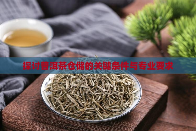 探讨普洱茶仓储的关键条件与专业要求