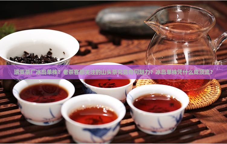 瑞贡茶厂冰岛单株？老茶客都关注的山头茶究竟有何魅力？冰岛单株凭什么成顶流？