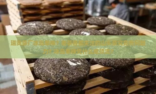 瑞贡茶厂冰岛单株？老茶客都关注的山头茶究竟有何魅力？冰岛单株凭什么成顶流？