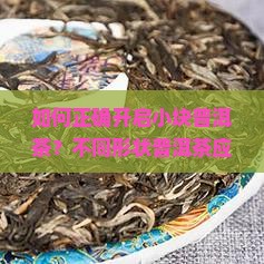 如何正确开启小块普洱茶？不同形状普洱茶应该如何处理和冲泡？