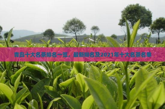 青岛十大名茶排名一览，最新排名及2021年十大名茶名单