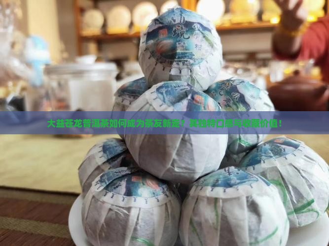 大益苍龙普洱茶如何成为茶友新宠？其独特口感与收藏价值！