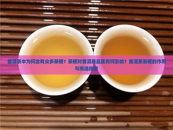 普洱茶中为何含有众多茶梗？茶梗对普洱茶品质有何影响？普洱茶茶梗的作用与挑选指南