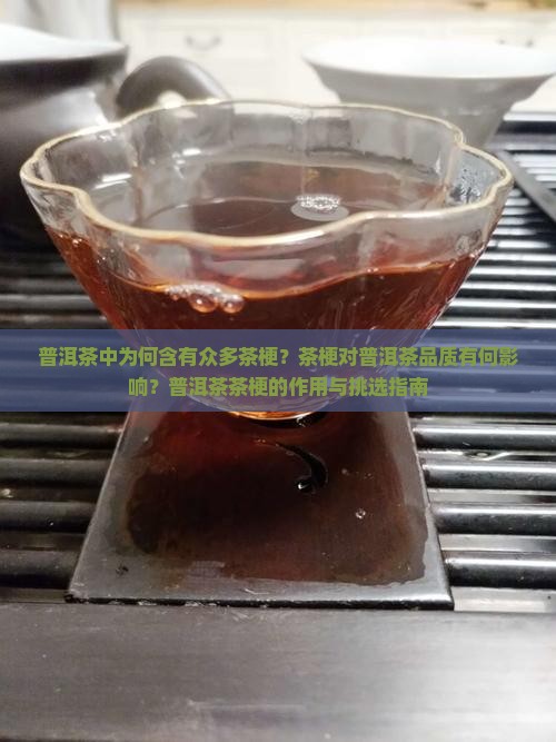 普洱茶中为何含有众多茶梗？茶梗对普洱茶品质有何影响？普洱茶茶梗的作用与挑选指南