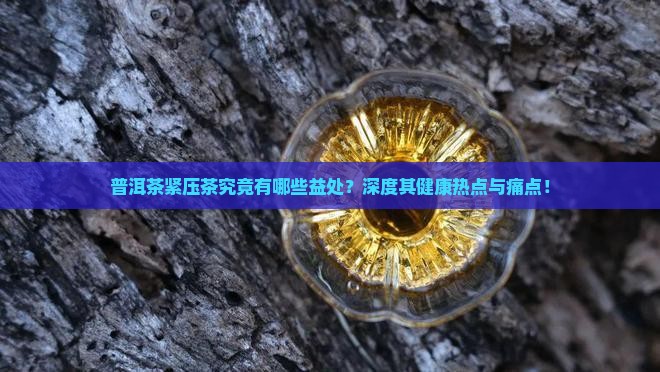 普洱茶紧压茶究竟有哪些益处？深度其健康热点与痛点！