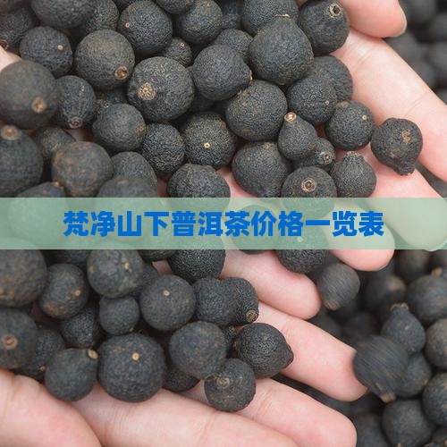 梵净山下普洱茶价格一览表