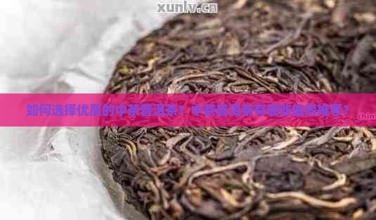 如何选择优质的中茶普洱茶？中茶普洱茶有哪些值得推荐？