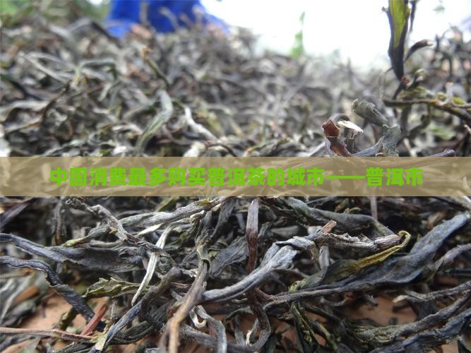 中国消费最多购买普洱茶的城市——普洱市