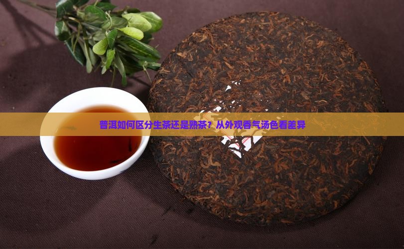 普洱如何区分生茶还是熟茶？从外观香气汤色看差异