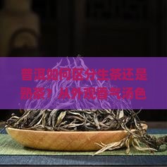 普洱如何区分生茶还是熟茶？从外观香气汤色看差异