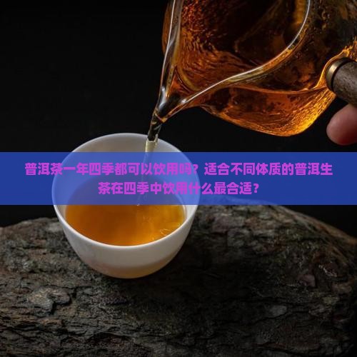 普洱茶一年四季都可以饮用吗？适合不同体质的普洱生茶在四季中饮用什么最合适？