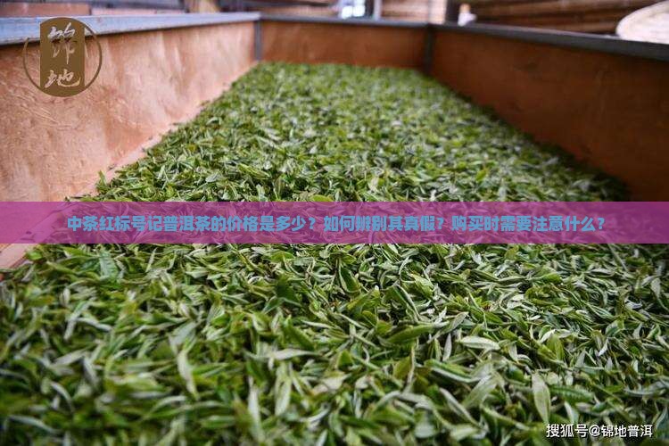 中茶红标号记普洱茶的价格是多少？如何辨别其真假？购买时需要注意什么？