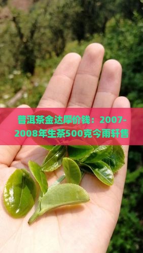 普洱茶金达摩价钱：2007-2008年生茶500克今雨轩售价