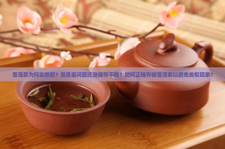普洱茶为何会放屁？是质量问题还是保存不当？如何正确存储普洱茶以避免类似现象？