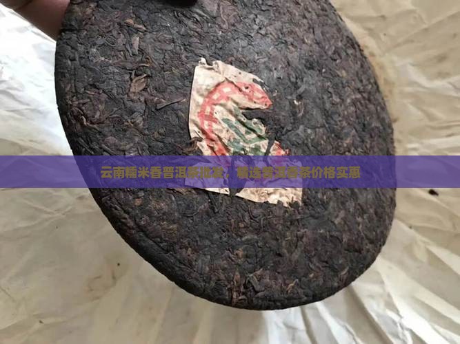 云南糯米香普洱茶批发，精选普洱香茶价格实惠