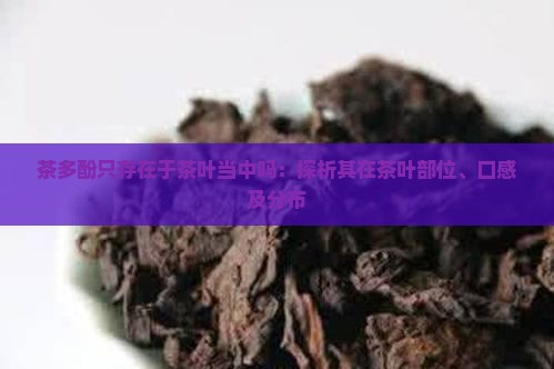 茶多酚只存在于茶叶当中吗：探析其在茶叶部位、口感及分布
