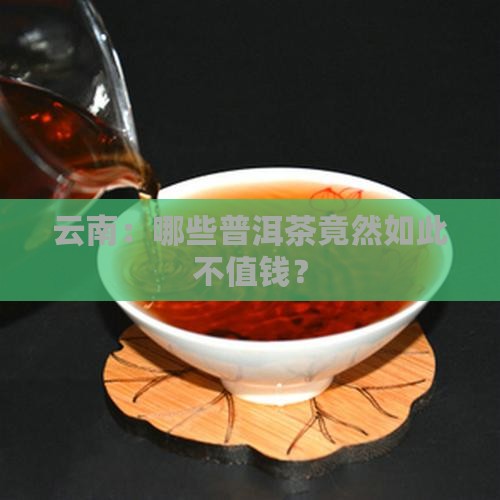 云南：哪些普洱茶竟然如此不值钱？
