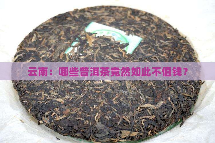 云南：哪些普洱茶竟然如此不值钱？