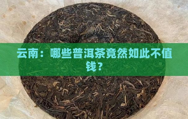 云南：哪些普洱茶竟然如此不值钱？