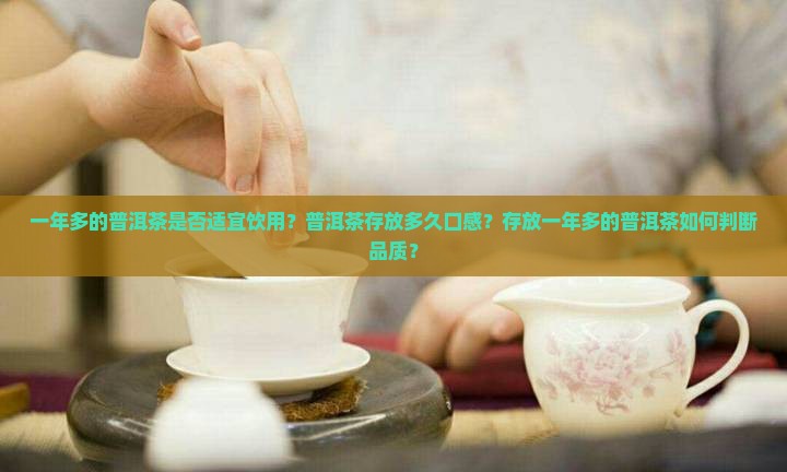一年多的普洱茶是否适宜饮用？普洱茶存放多久口感？存放一年多的普洱茶如何判断品质？