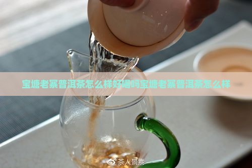 宝塘老寨普洱茶怎么样好喝吗宝塘老寨普洱茶怎么样