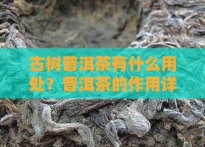 古树普洱茶有什么用处？普洱茶的作用详解