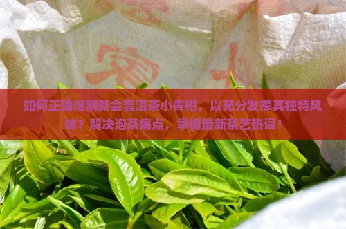 如何正确泡制新会普洱茶小青柑，以充分发挥其独特风味？解决泡茶痛点，掌握最新茶艺热词！