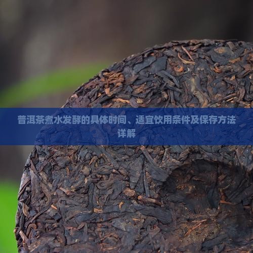 普洱茶煮水发酵的具体时间、适宜饮用条件及保存方法详解