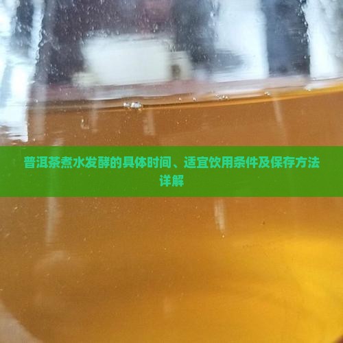 普洱茶煮水发酵的具体时间、适宜饮用条件及保存方法详解
