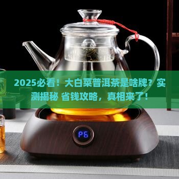 大白菜普洱茶是什么牌
