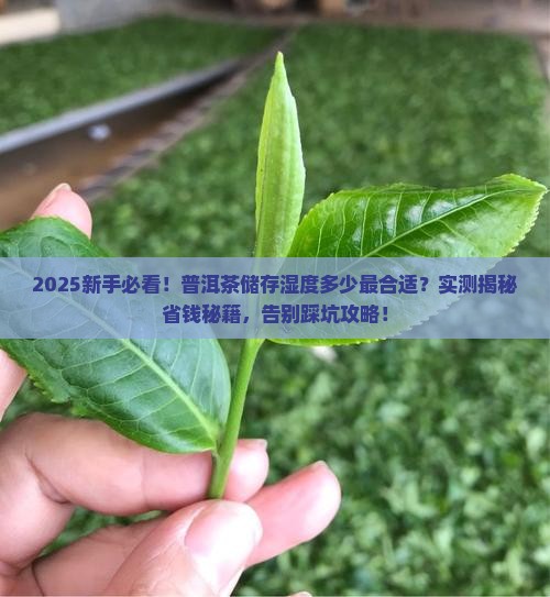 普洱茶的储存湿度是多少