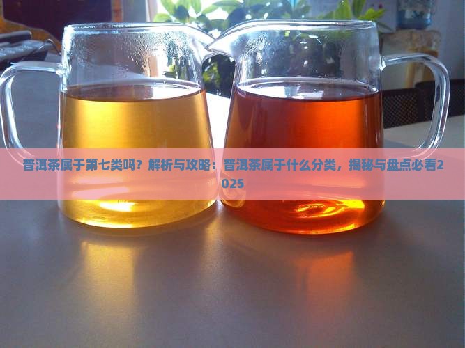 普洱茶属于第七类吗