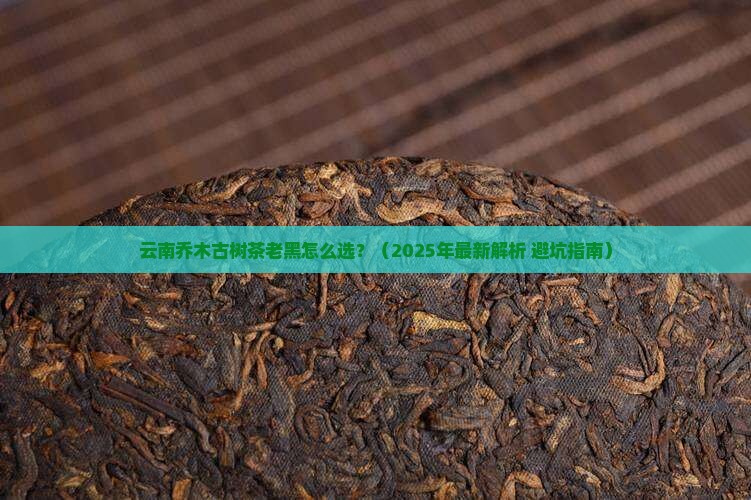 云南乔木古树茶老黑